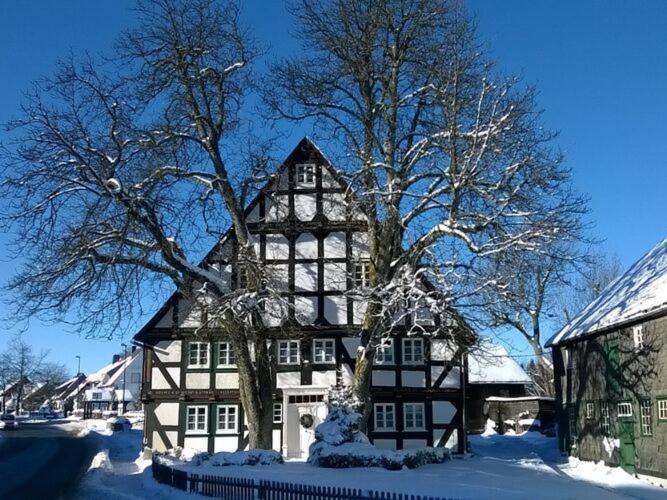 Home In Wissinghausen With Private Sauna Медебах Экстерьер фото
